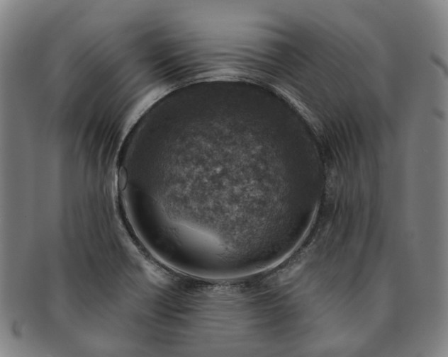 X0000091011418200708241502