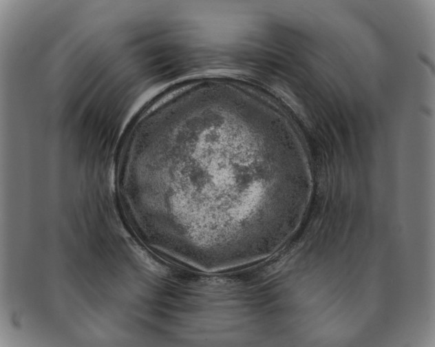 X0000091011420200708241502