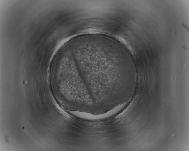 X0000091011421200708241502