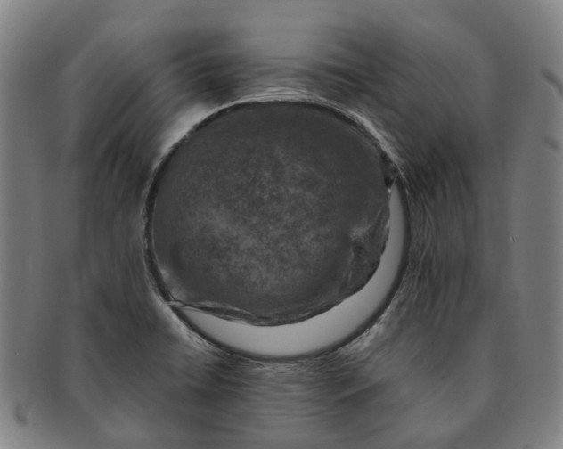 X0000091011422200708241502