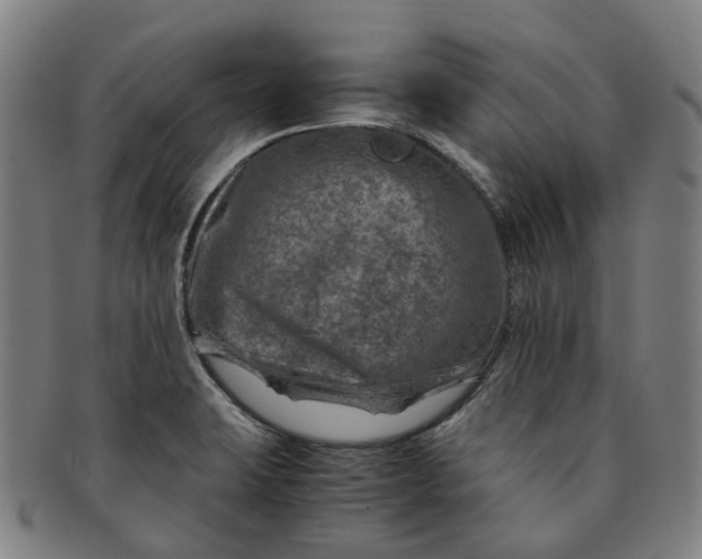 X0000091011423200708241502