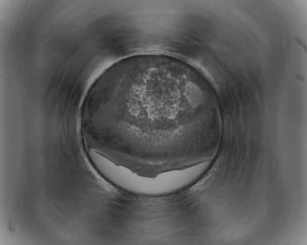 X0000091011424200708241502