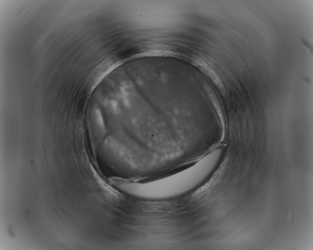 X0000091011425200708241502