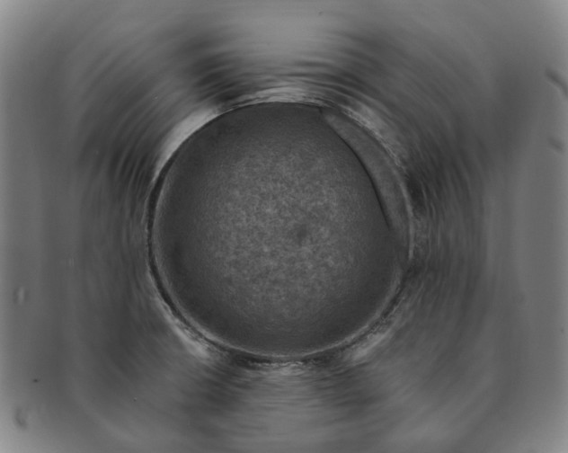 X0000091011426200708241502