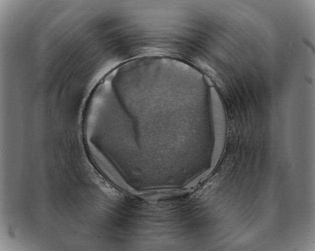 X0000091011427200708241502