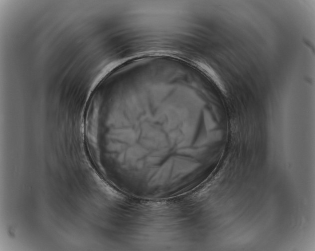 X0000091011428200708241502