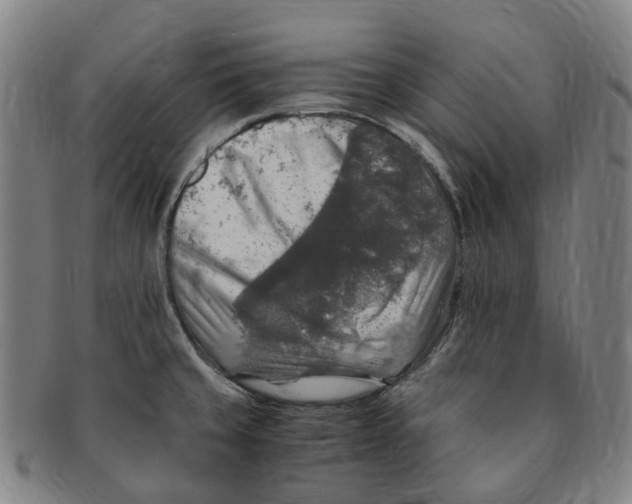 X0000091011429200708241502