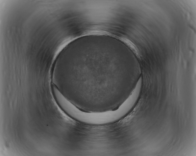 X0000091011430200708241502