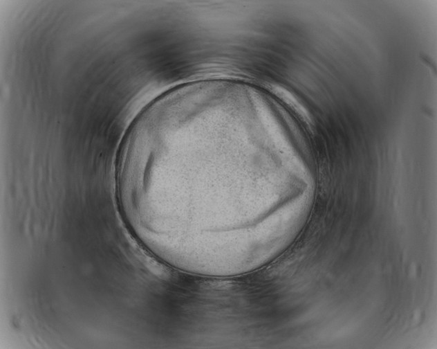 X0000091011431200708241502