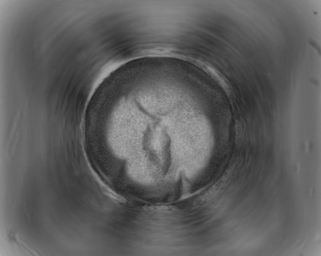 X0000091011432200708241502