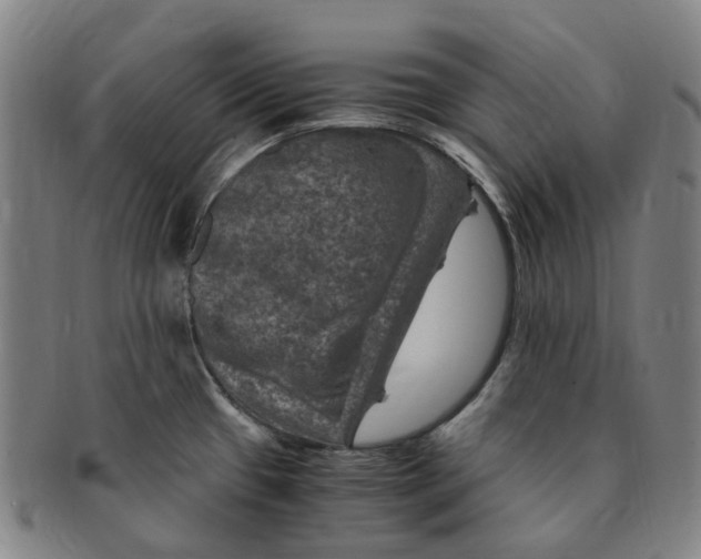 X0000091011433200708241502