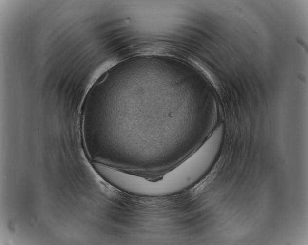 X0000091011434200708241502