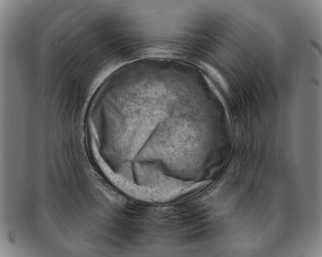 X0000091011435200708241502