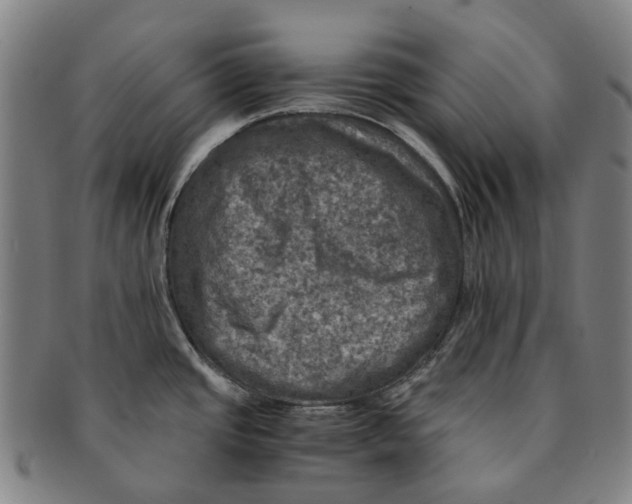 X0000091011437200708241502