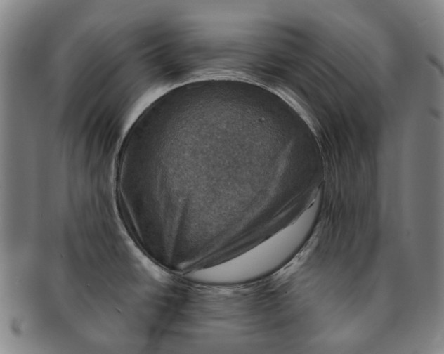 X0000091011438200708241502