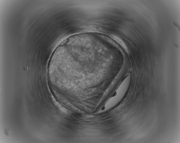 X0000091011439200708241502