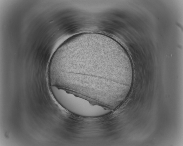 X0000091011440200708241502