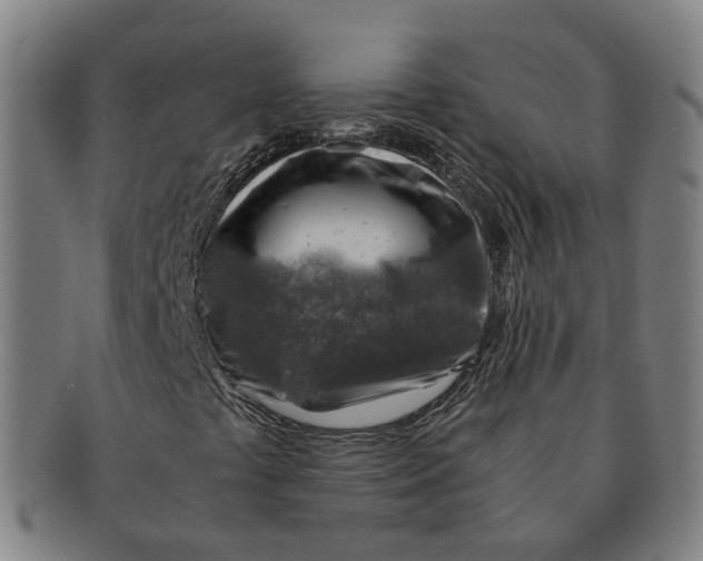 X0000091011441200708241502