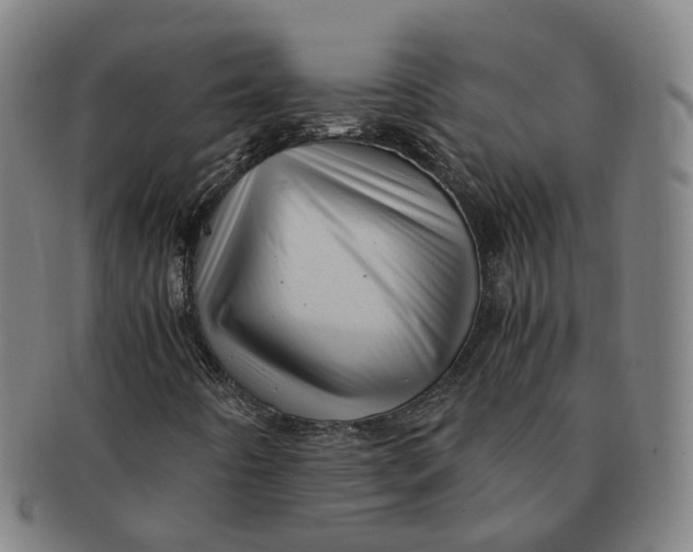 X0000091011442200708241502