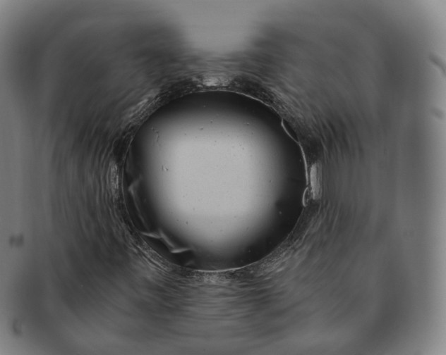 X0000091011443200708241502