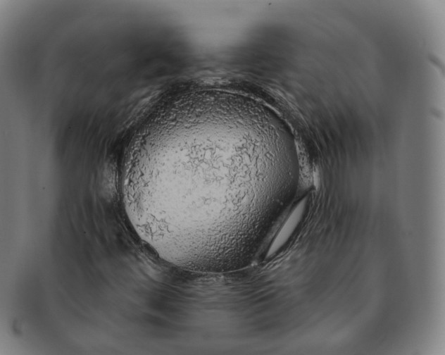 X0000091011444200708241502