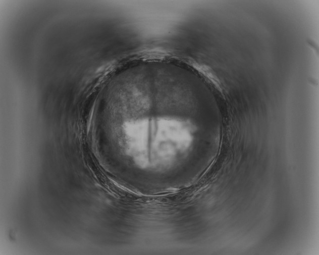 X0000091011445200708241502