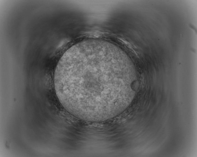 X0000091011446200708241502