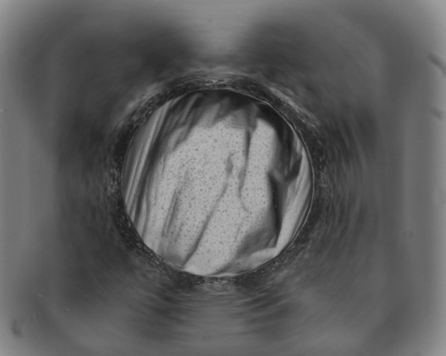 X0000091011447200708241502