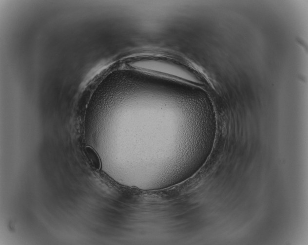 X0000091011448200708241502