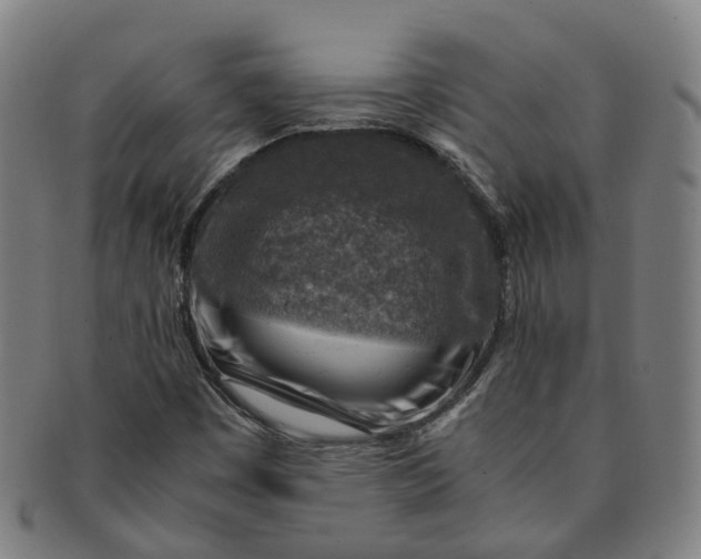 X0000091011449200708241502