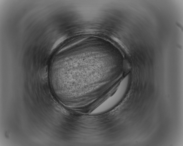 X0000091011450200708241502