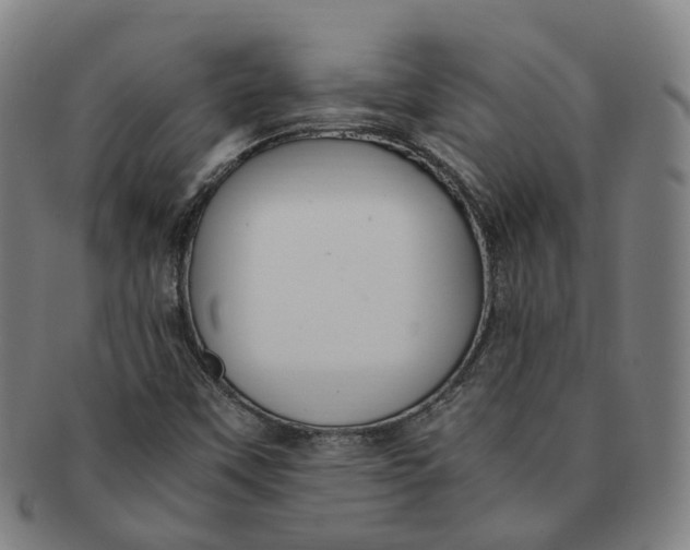 X0000091011451200708241502