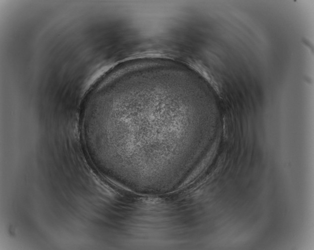 X0000091011452200708241502