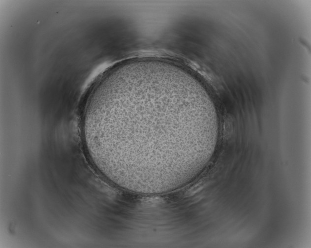 X0000091011454200708241502