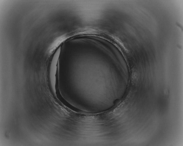 X0000091011455200708241502