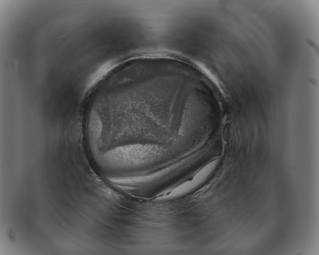 X0000091011456200708241502