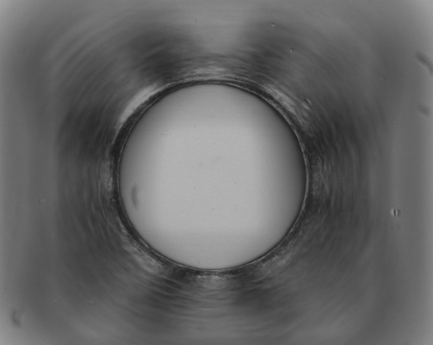 X0000091011458200708241501