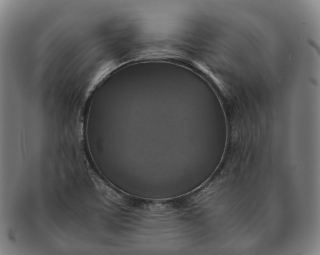 X0000091011459200708241501