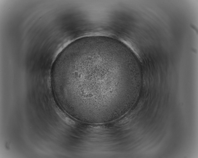 X0000091011460200708241501