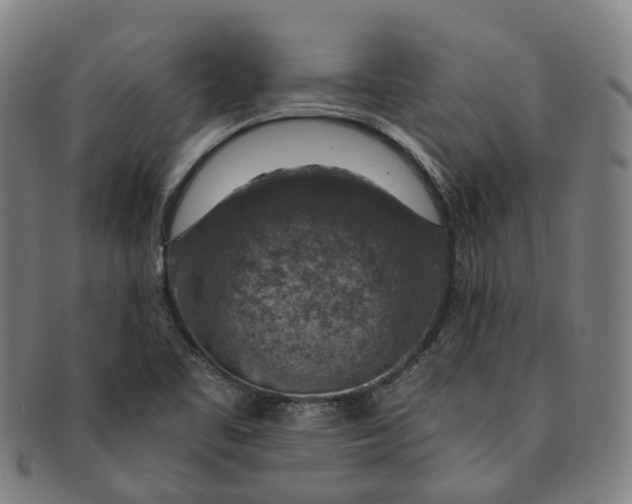 X0000091011461200708241501