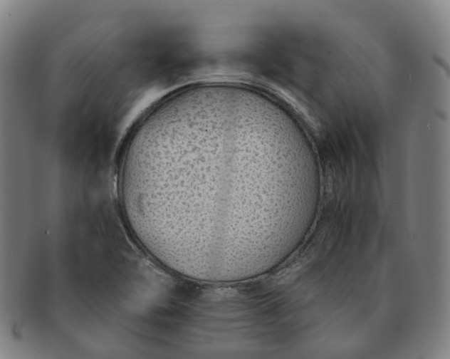 X0000091011462200708241501