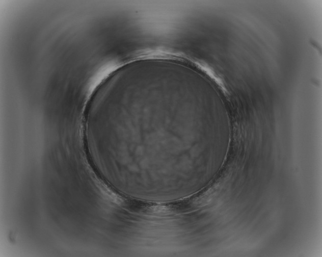 X0000091011463200708241501