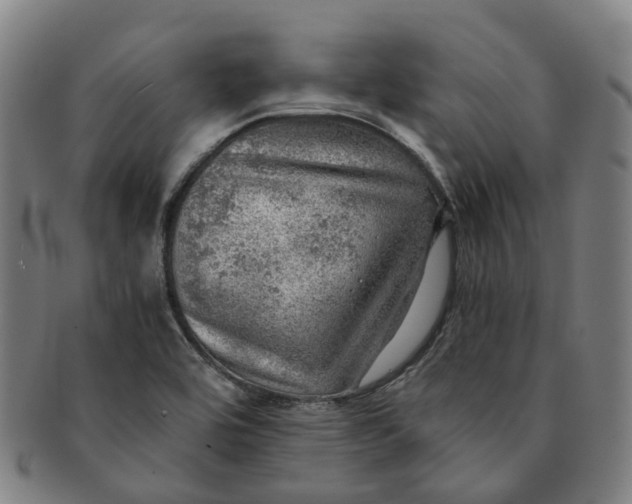 X0000091011464200708241501