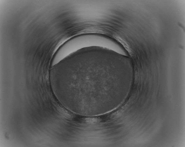 X0000091011465200708241501