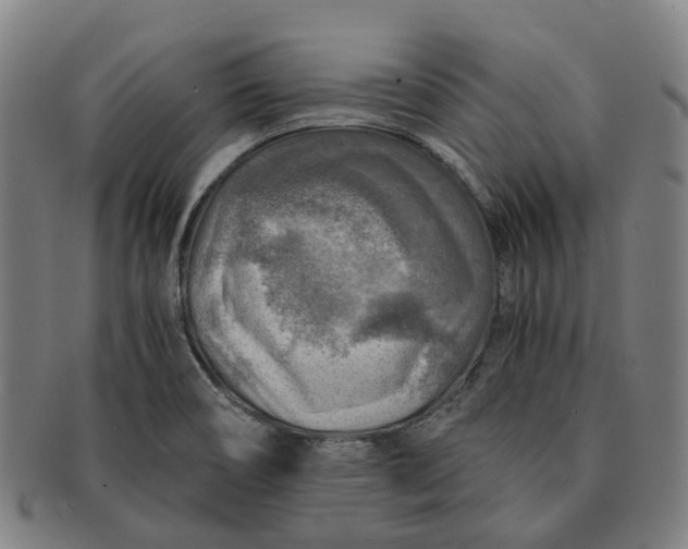 X0000091011466200708241501