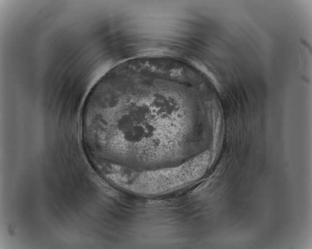 X0000091011467200708241501