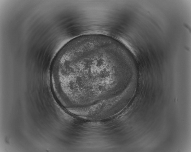 X0000091011468200708241501