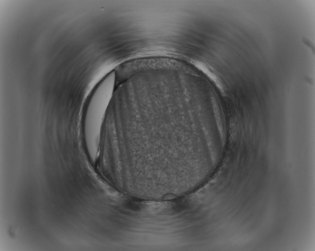 X0000091011469200708241501