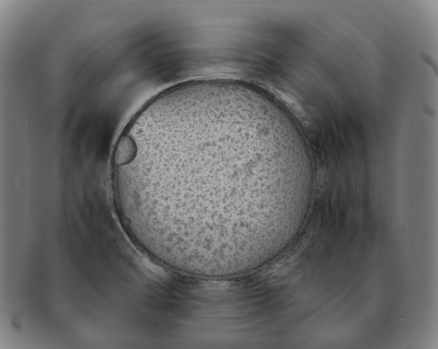 X0000091011470200708241501