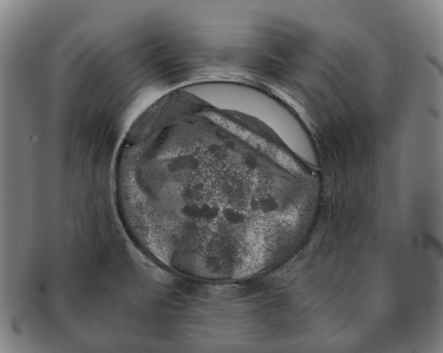 X0000091011471200708241501